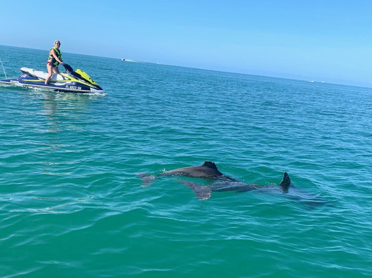 All Island Watersports-迈尔斯堡海滩必去景点