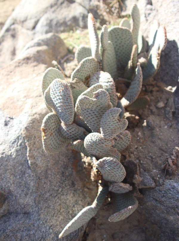 Tahquitz Canyon-棕榈泉市必去景点