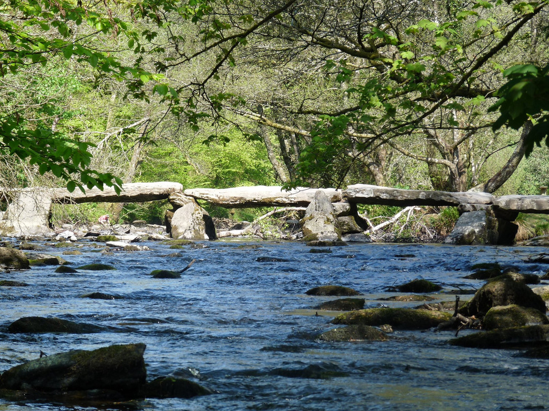 Dulverton Exmoor National Park Centre景点图片