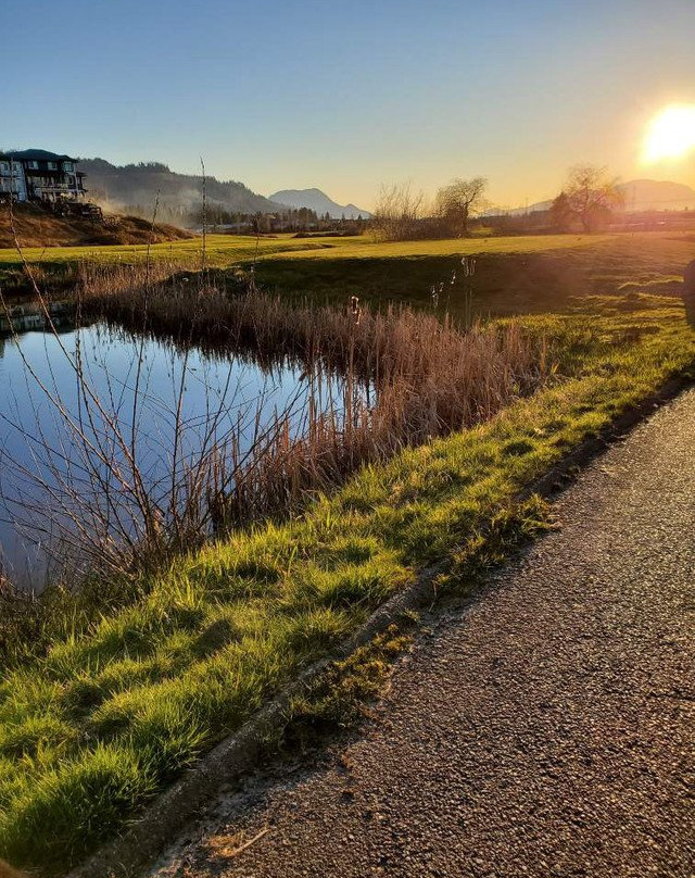 The Falls Golf Club景点图片