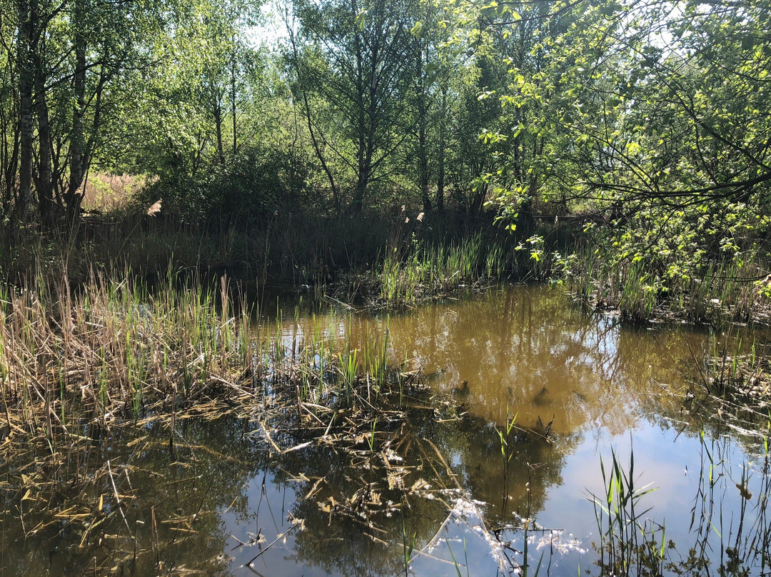 Lattersey Local Nature Reserve景点图片