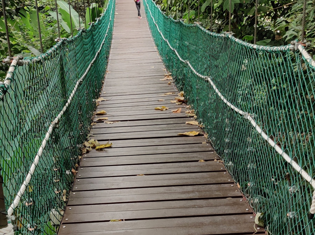 咖啡山森林保护区-吉隆坡必去景点