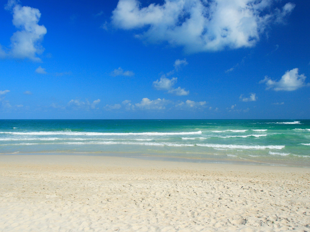 图书馆酒店主图