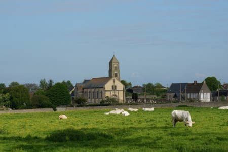 Eglise Saint Martin景点图片