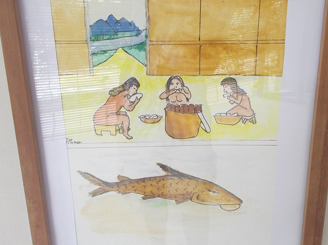Museu da Amazonia (MUSA)-玛瑙斯必去景点