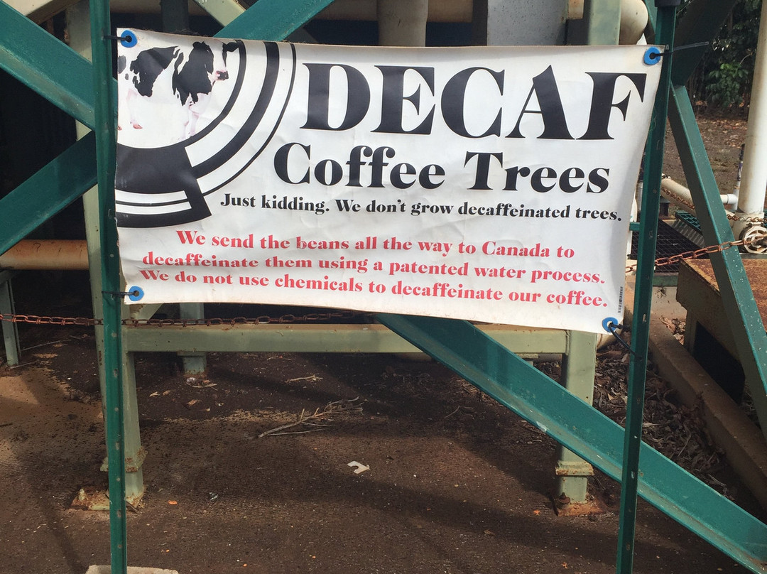 Kauai Coffee Company-卡拉西奥必去景点