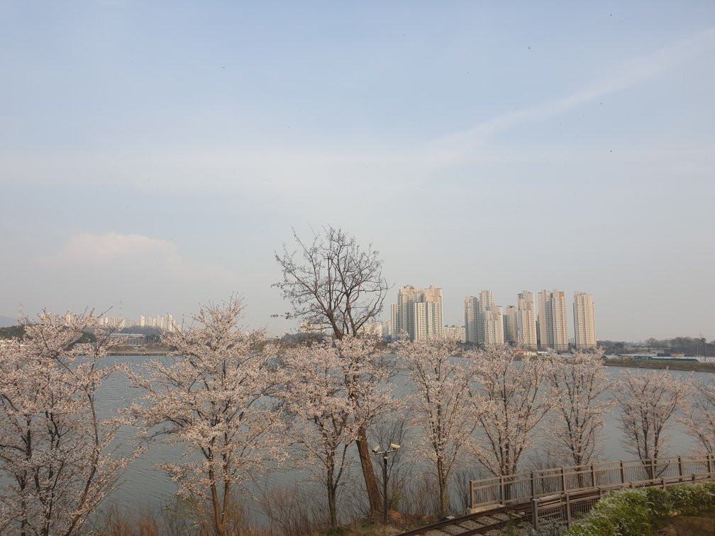 Uiwang Nature Learning Park-义王市必去景点