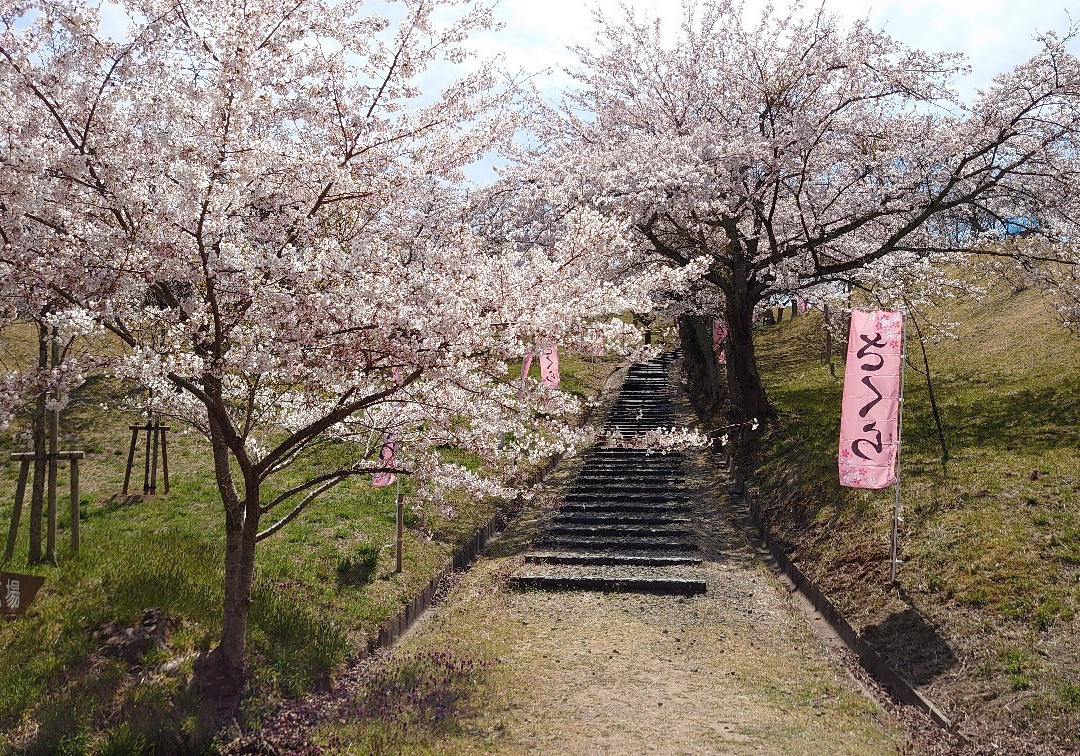 Takiyama Park-东松岛市必去景点