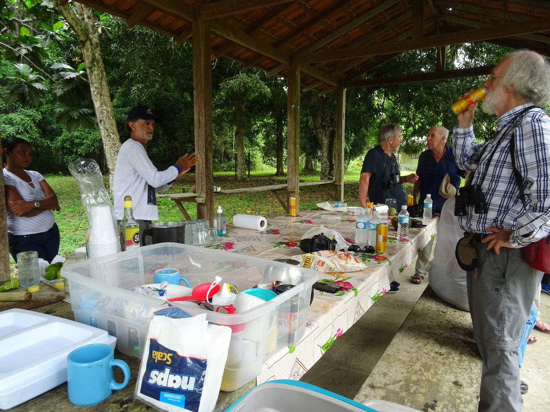 Floresta Nacional dos Tapajos-Ruropolis必去景点