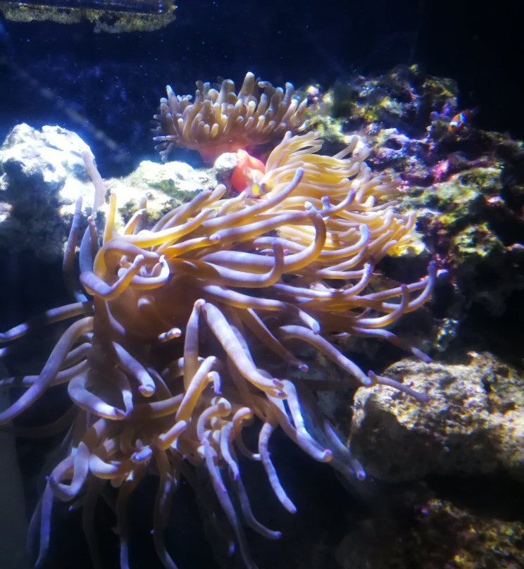 Paradise Island Beach Club主图