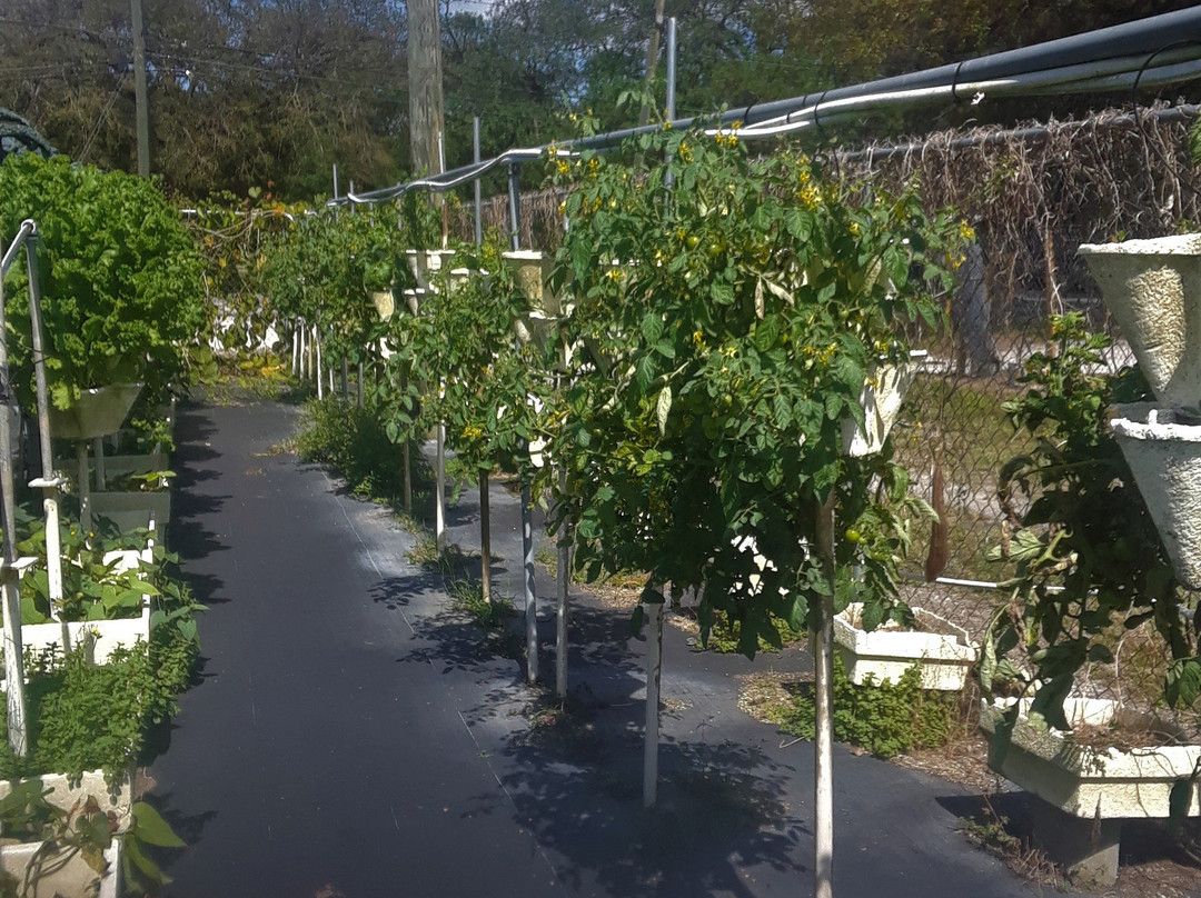 Hydro Harvest Farms-Ruskin必去景点