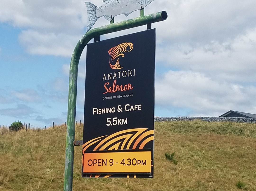 Anatoki Salmon景点图片