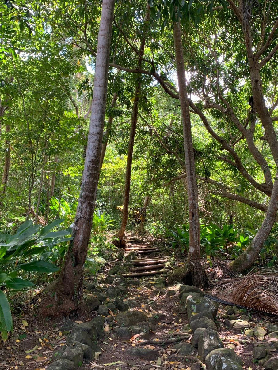 Mount Edgecombe Boutique Hotel-浴室