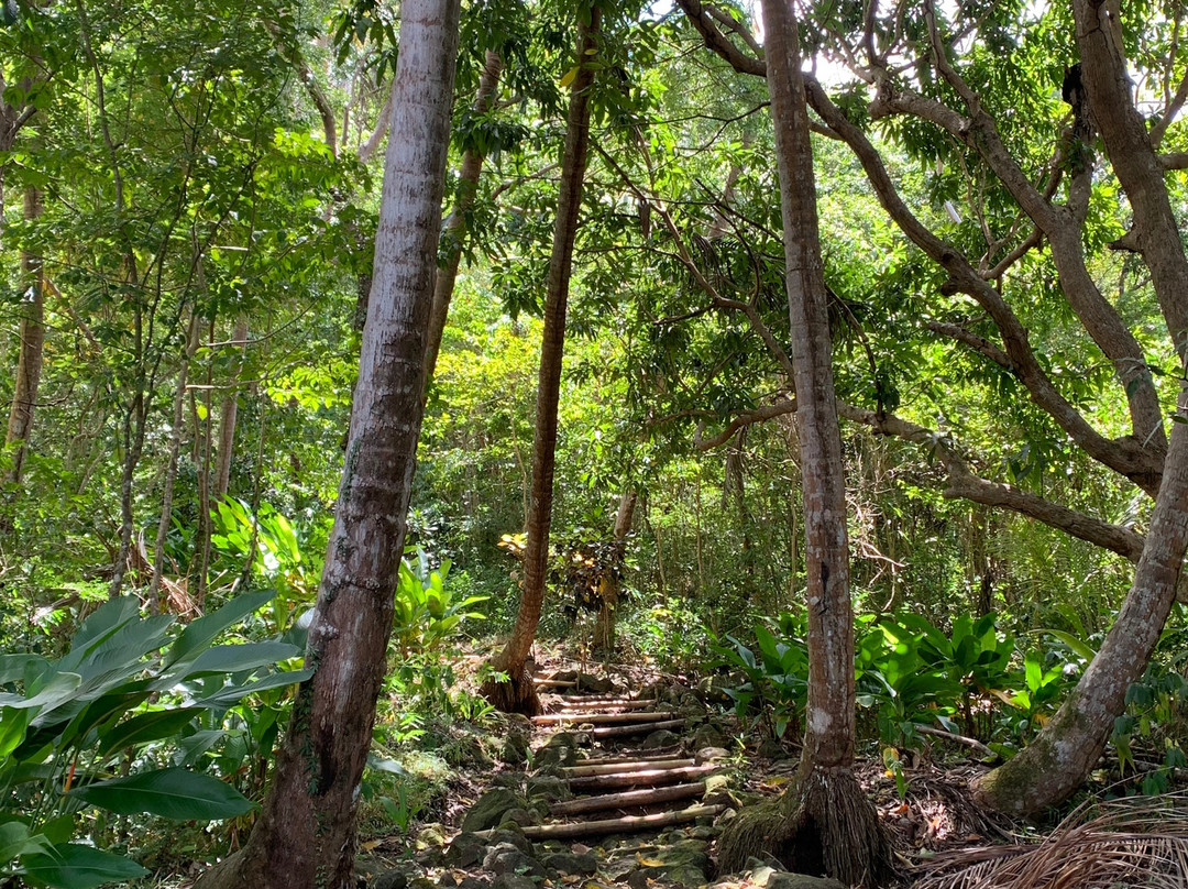 Mount Edgecombe Boutique Hotel主图