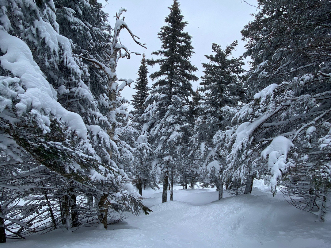 Jay Peak Ski Resort景点图片