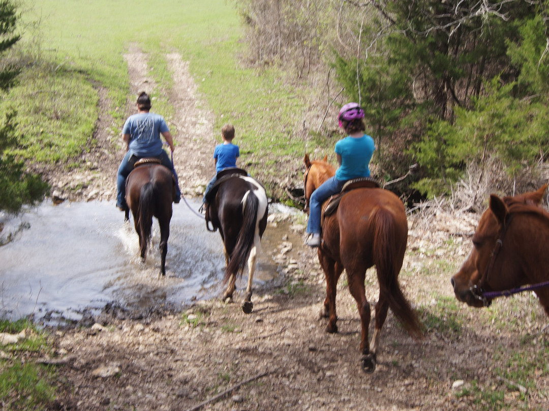 Draggin' H Ranch Group-Clifton必去景点