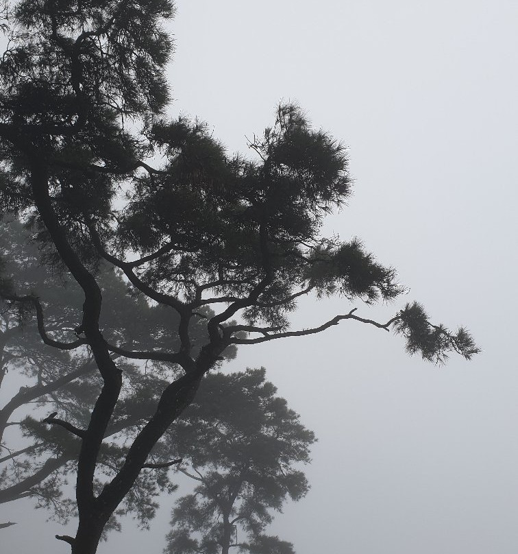 Tam Dao National Park-Tam Dao必去景点