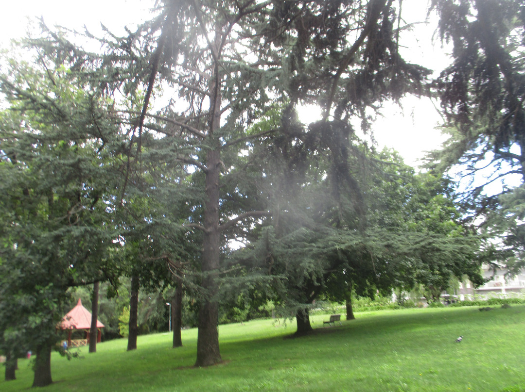 Heidelberg Park景点图片