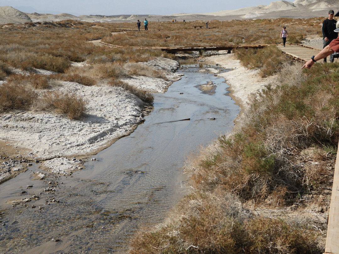 Salt Creek Interpretive Trail-死亡谷国家公园必去景点