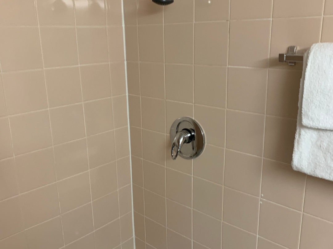 奥克兰玫瑰园酒店主图