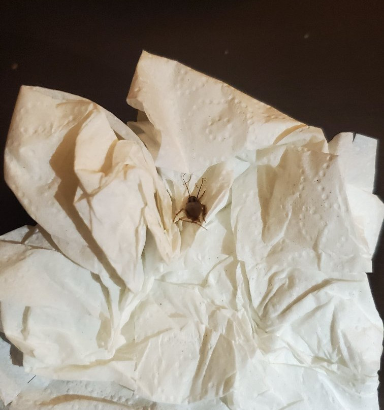 Sleep Inn Richmond North主图