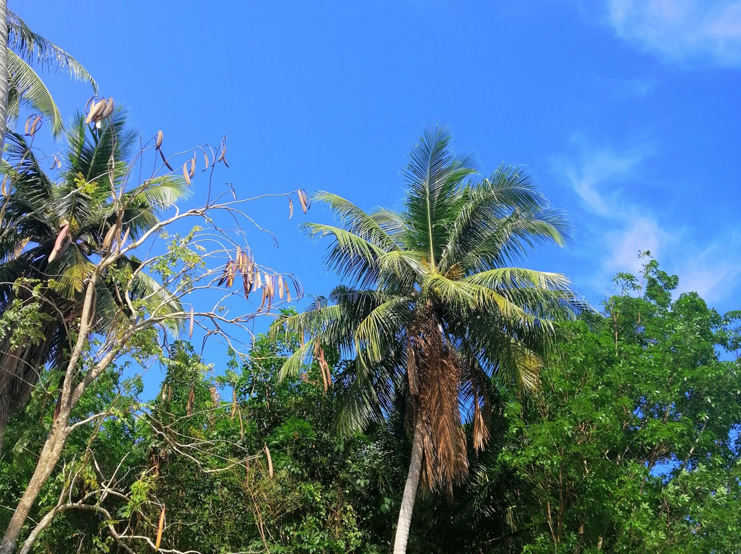 Yao Island Resort and Farm主图