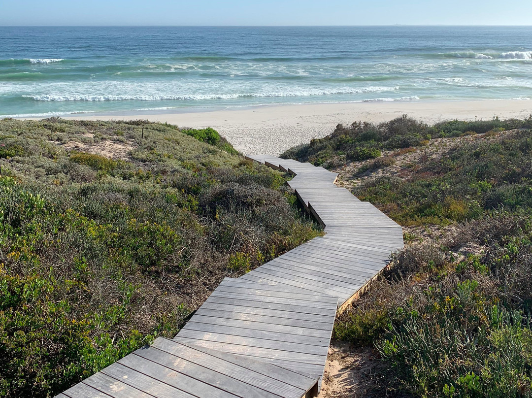 The Olive Tree Villa主图