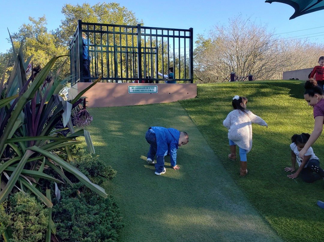 Common Ground Park-莱克兰必去景点