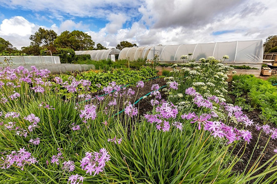 Royal Mail Hotel, Dunkeld主图