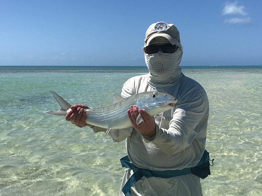 Best Day Tours-普罗维登西亚莱斯必去景点