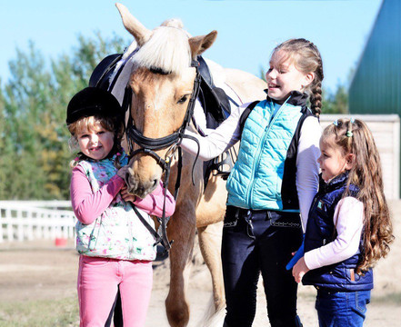 Kronshtadt Equestrian Club-喀琅施塔得必去景点