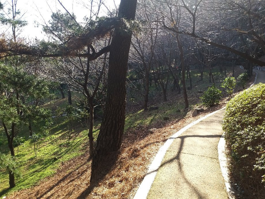 Hakseong Park-蔚山必去景点