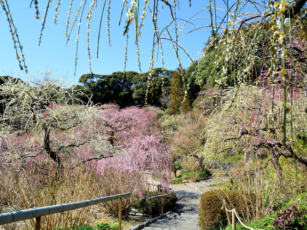 Tatsuo Shrine Hanateien景点图片