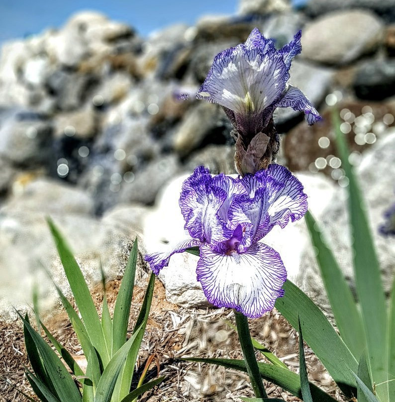 Yucaipa Performing Arts Center-Yucaipa必去景点