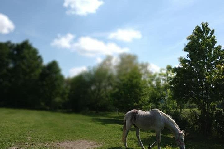 Settimo Rottaro旅游攻略图片