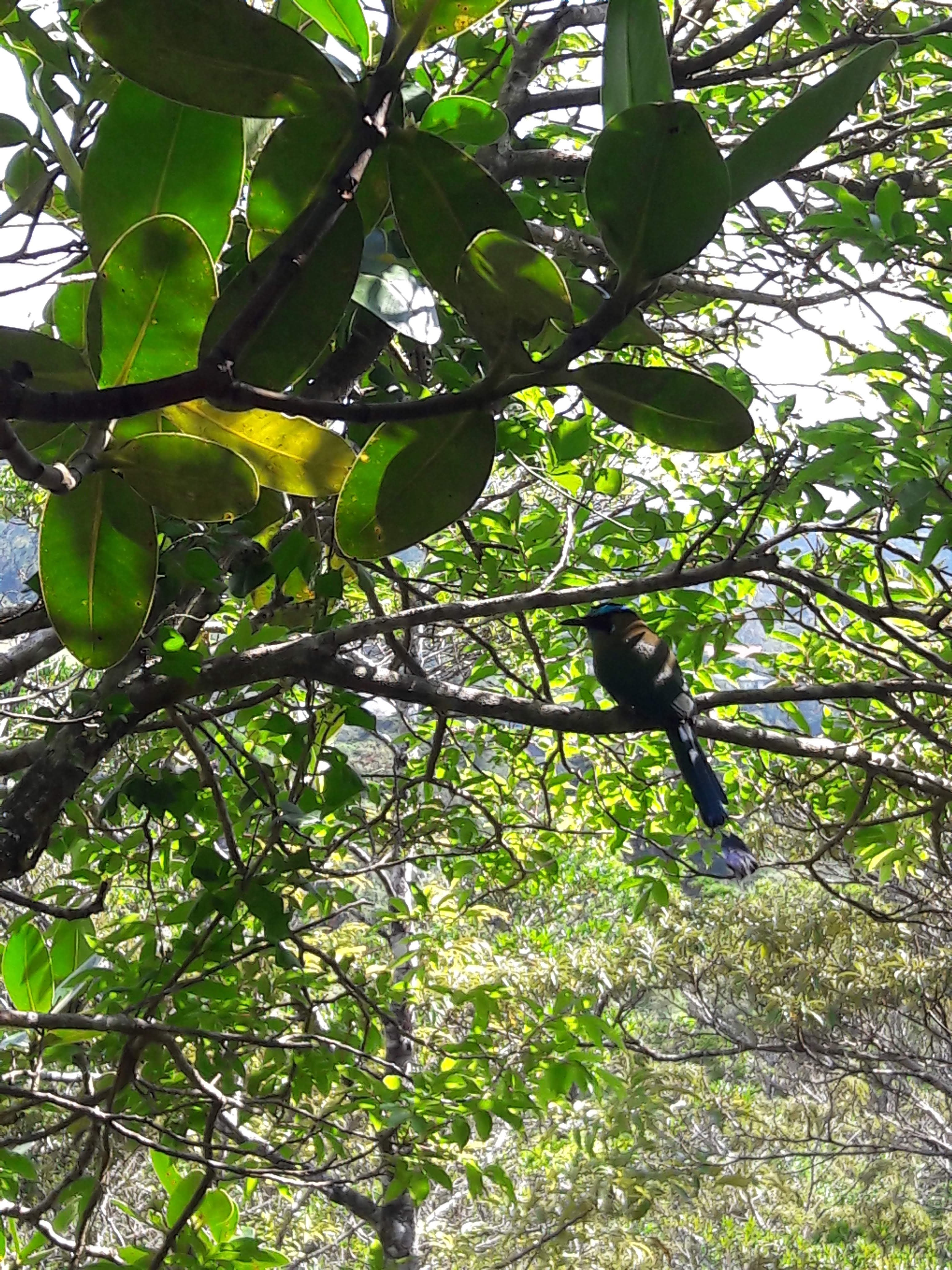 Los Pinos - Cabañas & Reserva-浴室