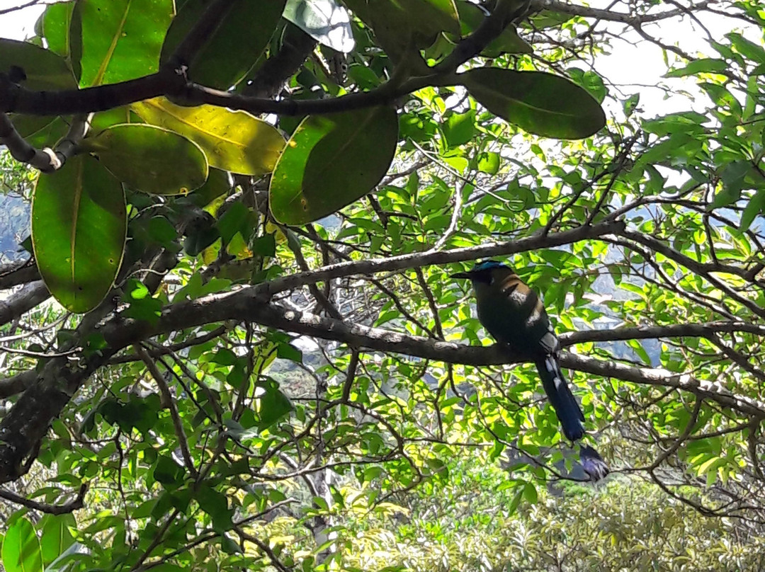 Los Pinos - Cabañas & Reserva主图