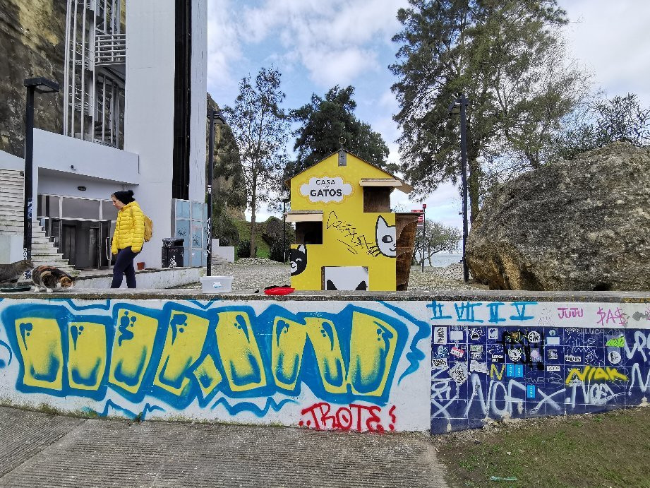 Elevador Panorâmico da Boca do Vento景点图片