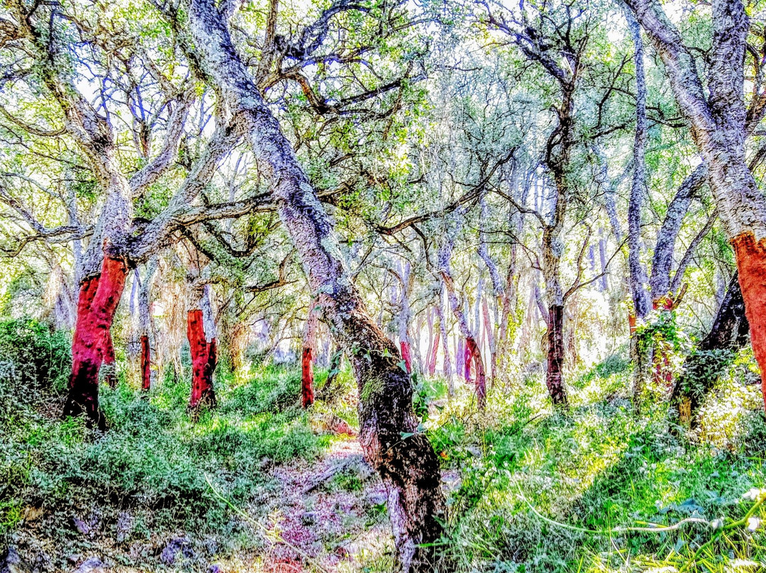 Les Useres旅游攻略图片