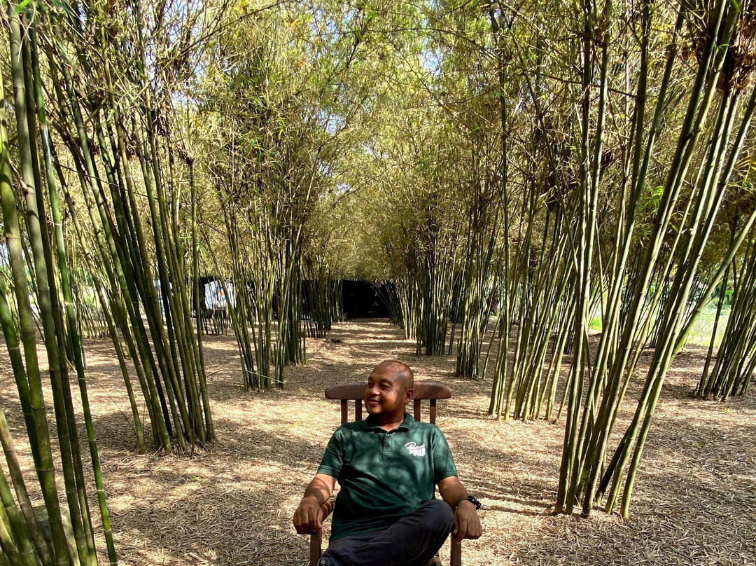 Klang Community Host Local Travel Service-巴生必去景点