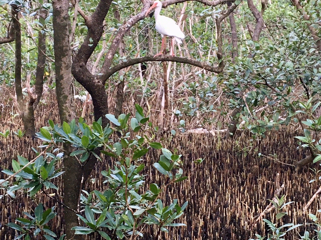 Rotary Park Environmental Center-开普科勒尔必去景点
