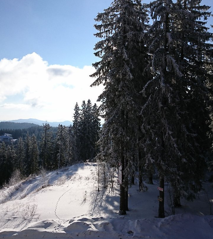 Pine Hills Pamporovo主图