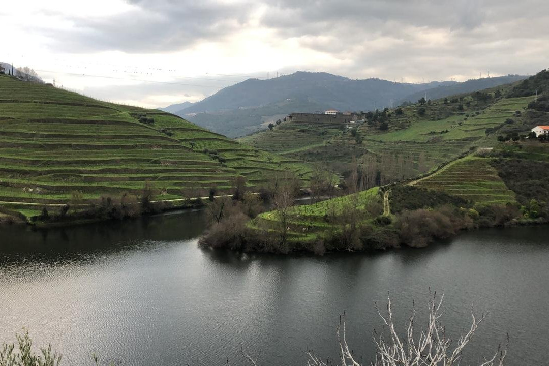 Quinta do Tedo主图