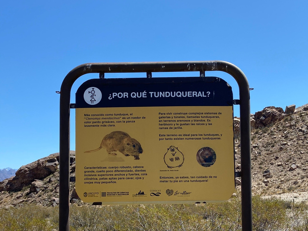 Cerro Tunduqueral-乌斯帕亚塔必去景点