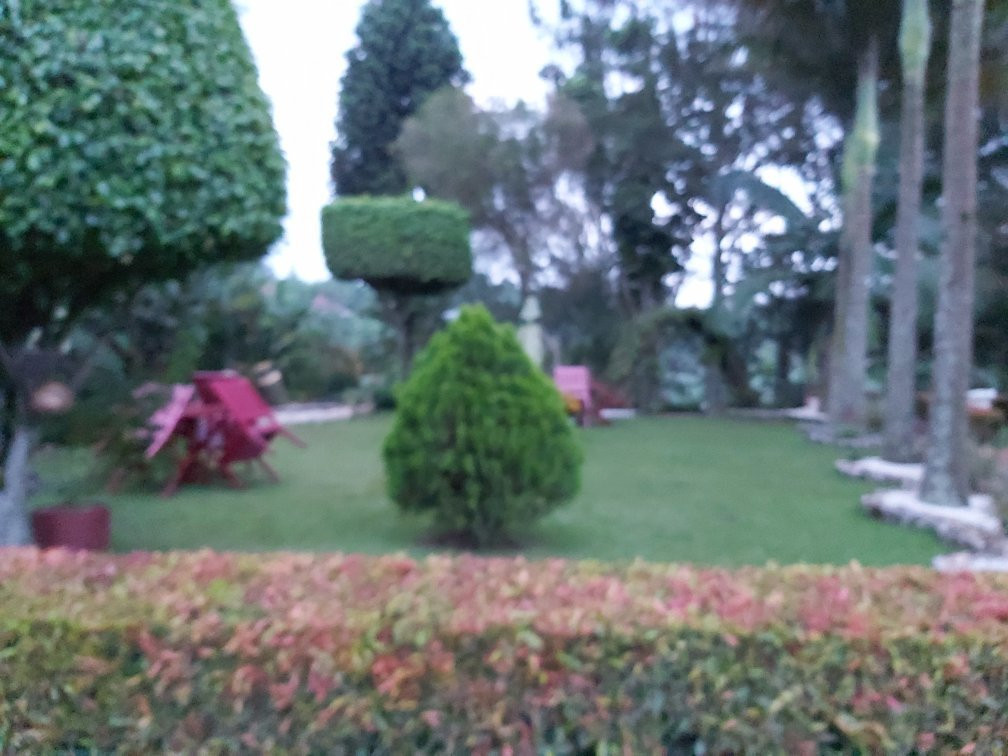 Sheevys Bed and Breakfast主图