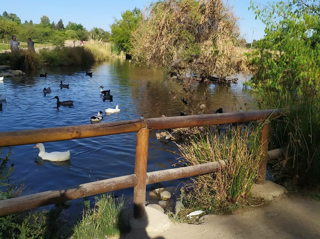 Jardín botanico de la Universidad de Talca-塔尔卡必去景点