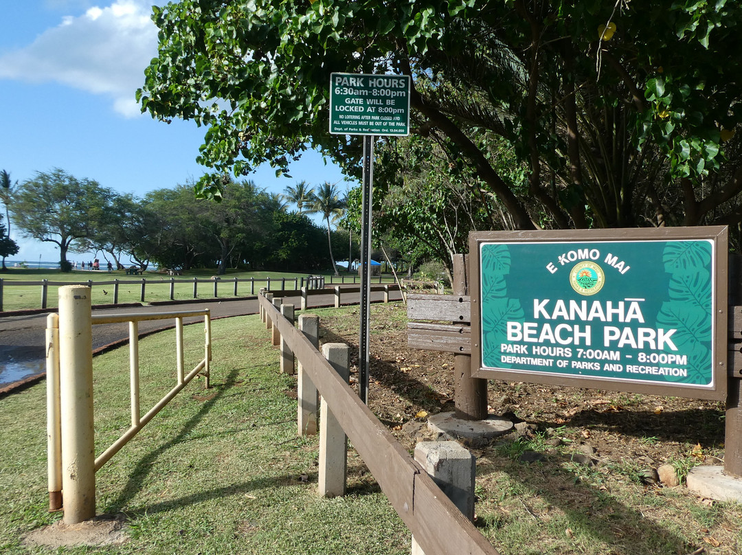 Kanaha Beach Park景点图片