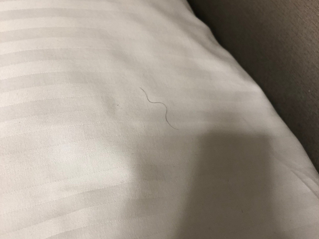 APA Hotel Komagome Ekimae主图