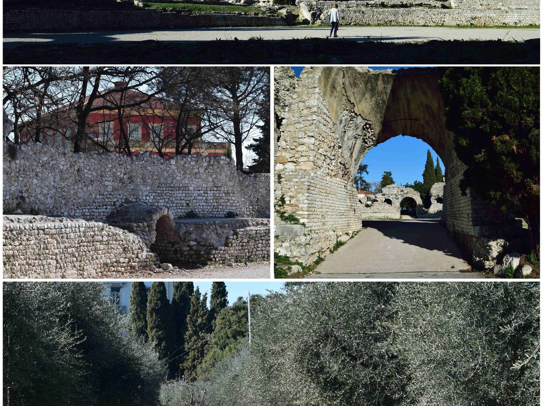 Parc des Arènes de Cimiez-尼斯必去景点