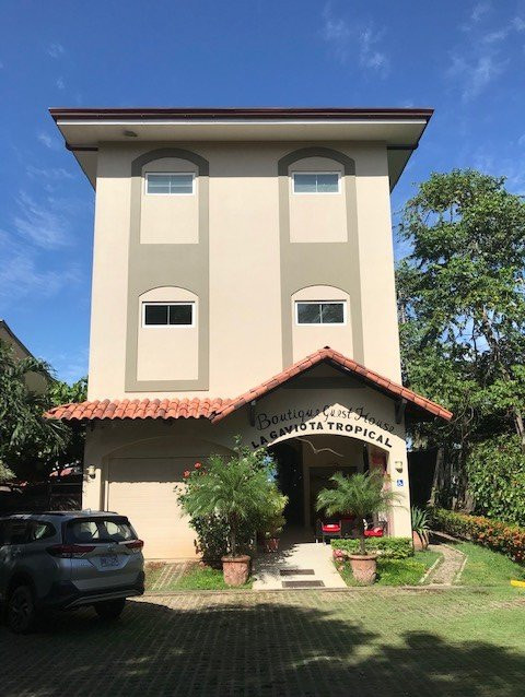 La Gaviota Tropical主图